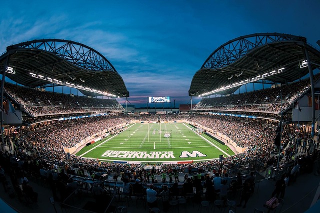 在比赛中输 在比赛中输